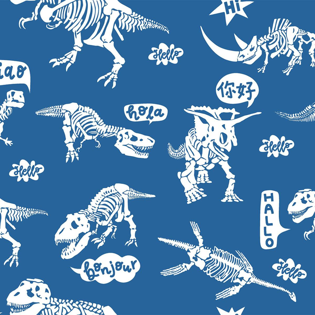 ROCK YOUR BABY Hello Dino Trackpants