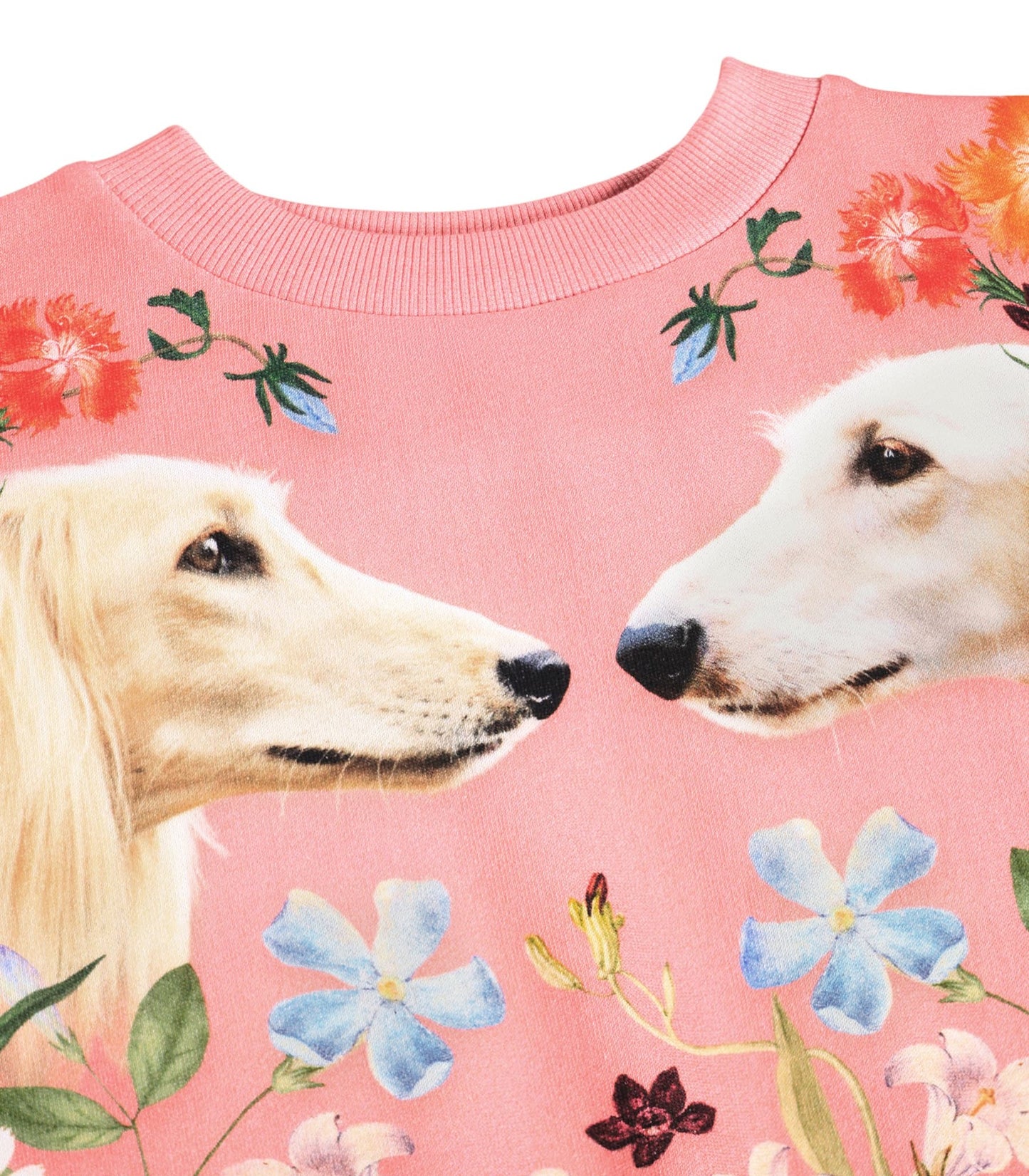 MOLO Maxi Sweatshirt - Afghan Hounds