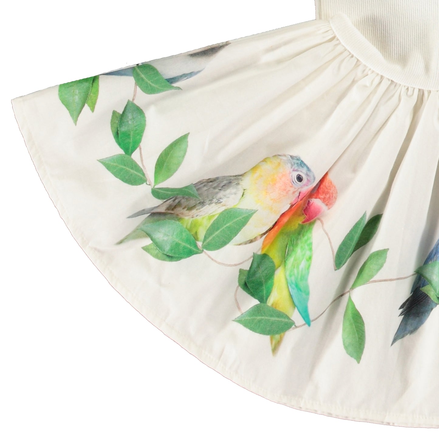 MOLO Carin Dress - Birdies