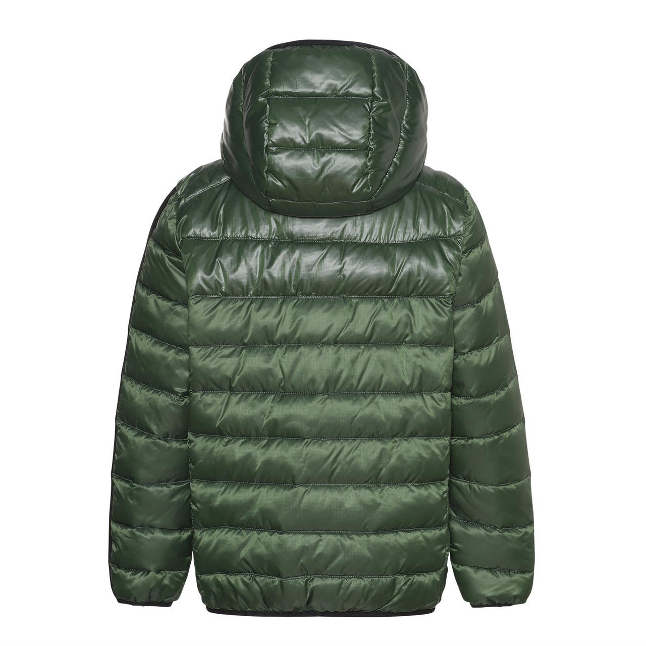 MOLO Hao Coat - Black Forest