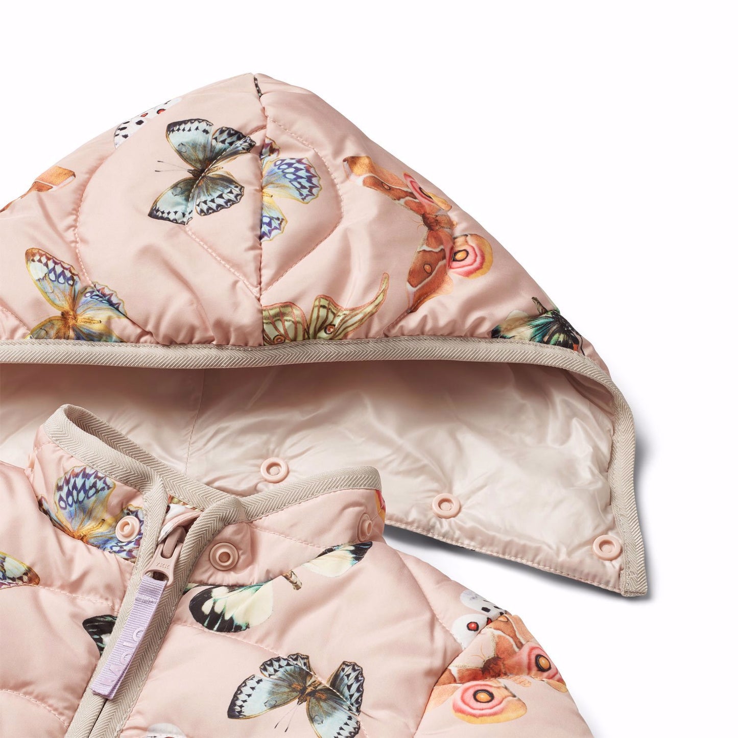 MOLO Harmony Coat - Blush Papillions