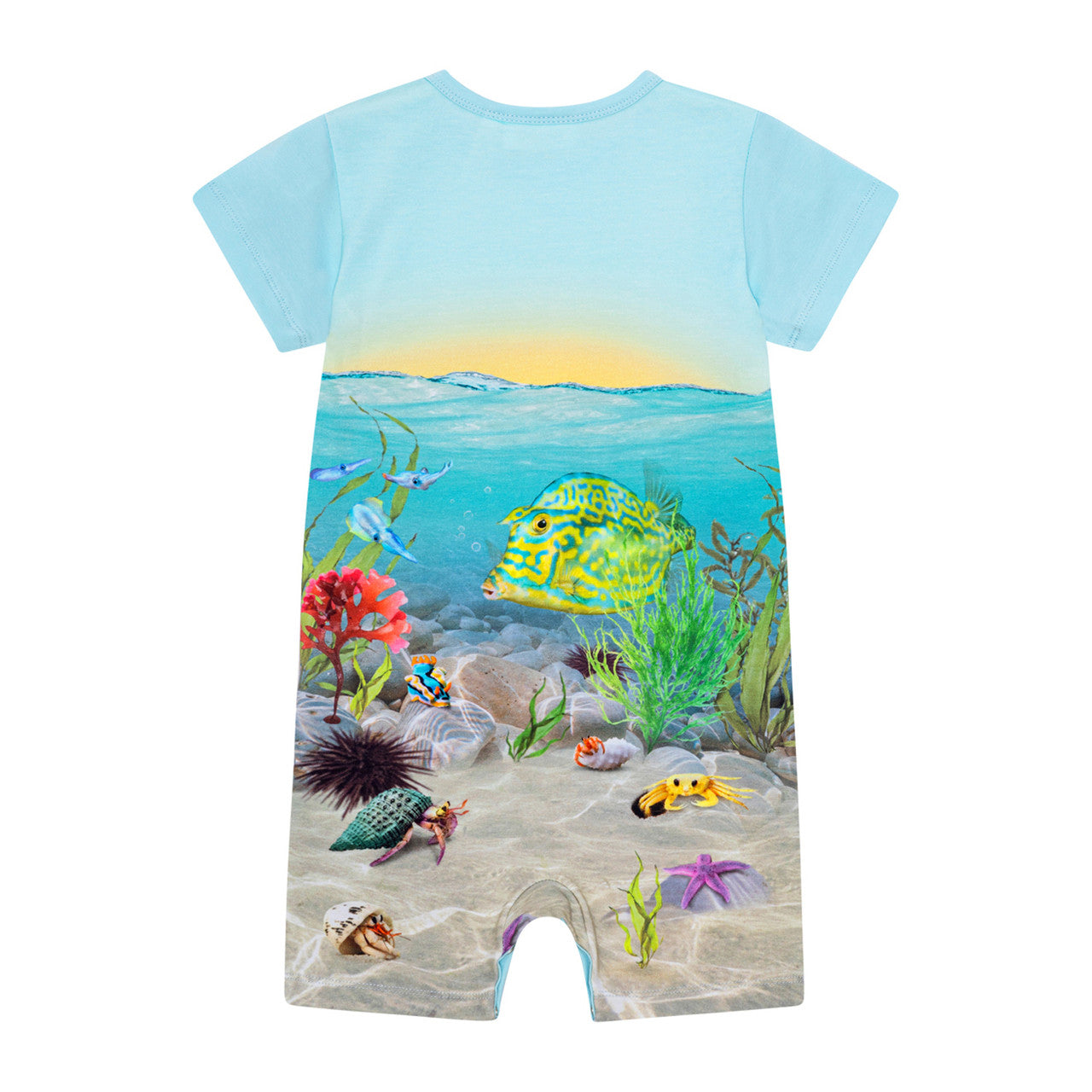 MOLO Finn Romper - Tropic Sea Suit
