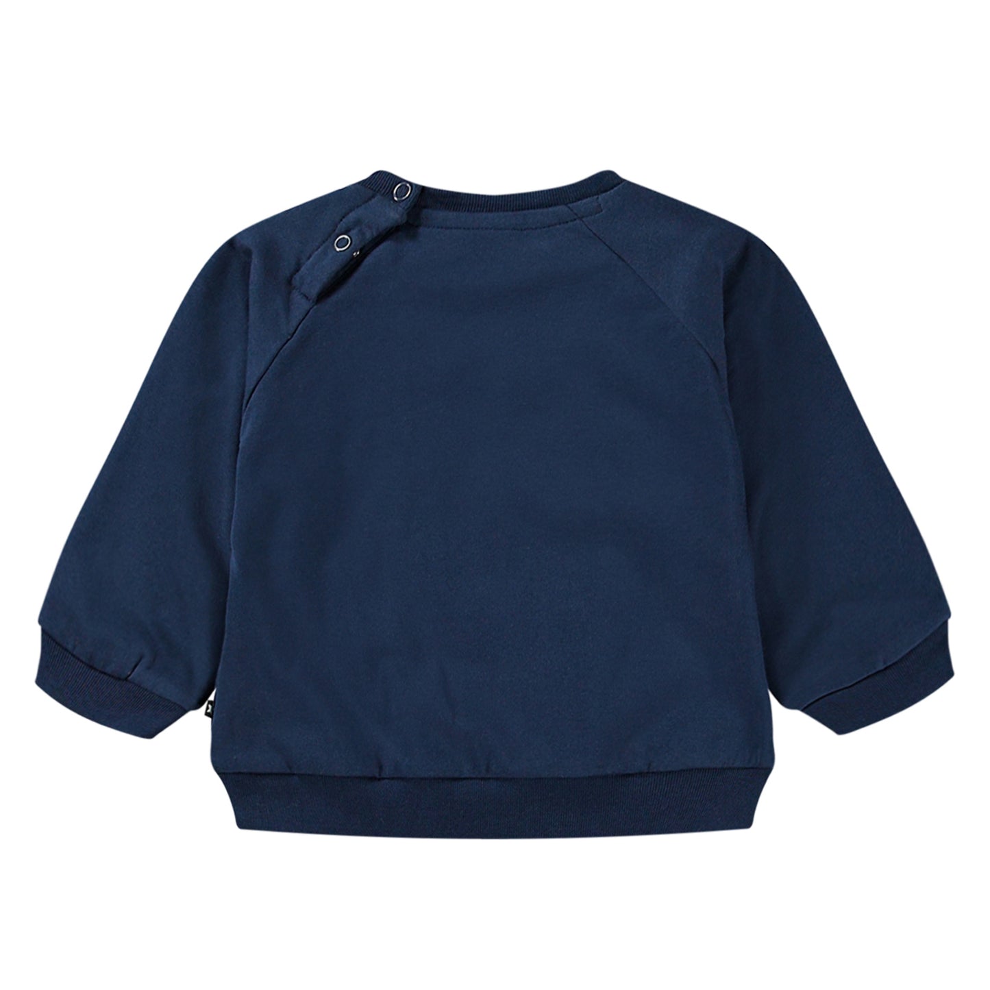 MOLO Disc Sweatshirt - Oceanic
