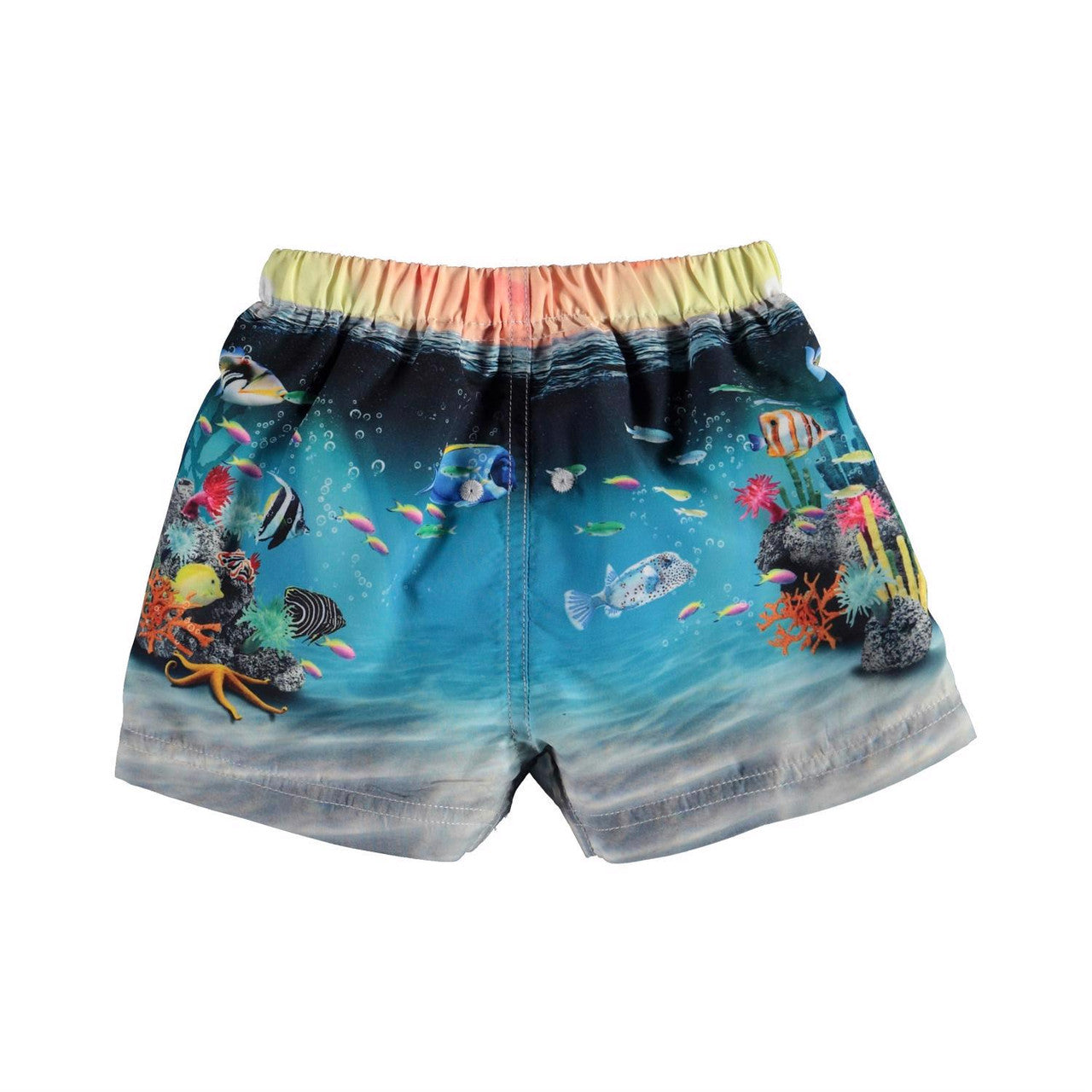 MOLO Newton swim shorts - Happy Baby Fish
