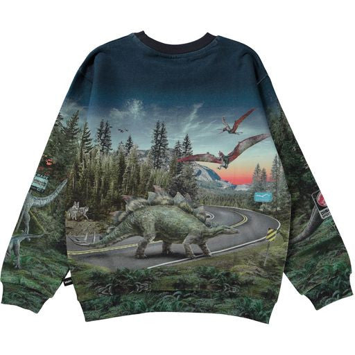MOLO JURASSIC Miksi Sweatshirt - Co-Exist