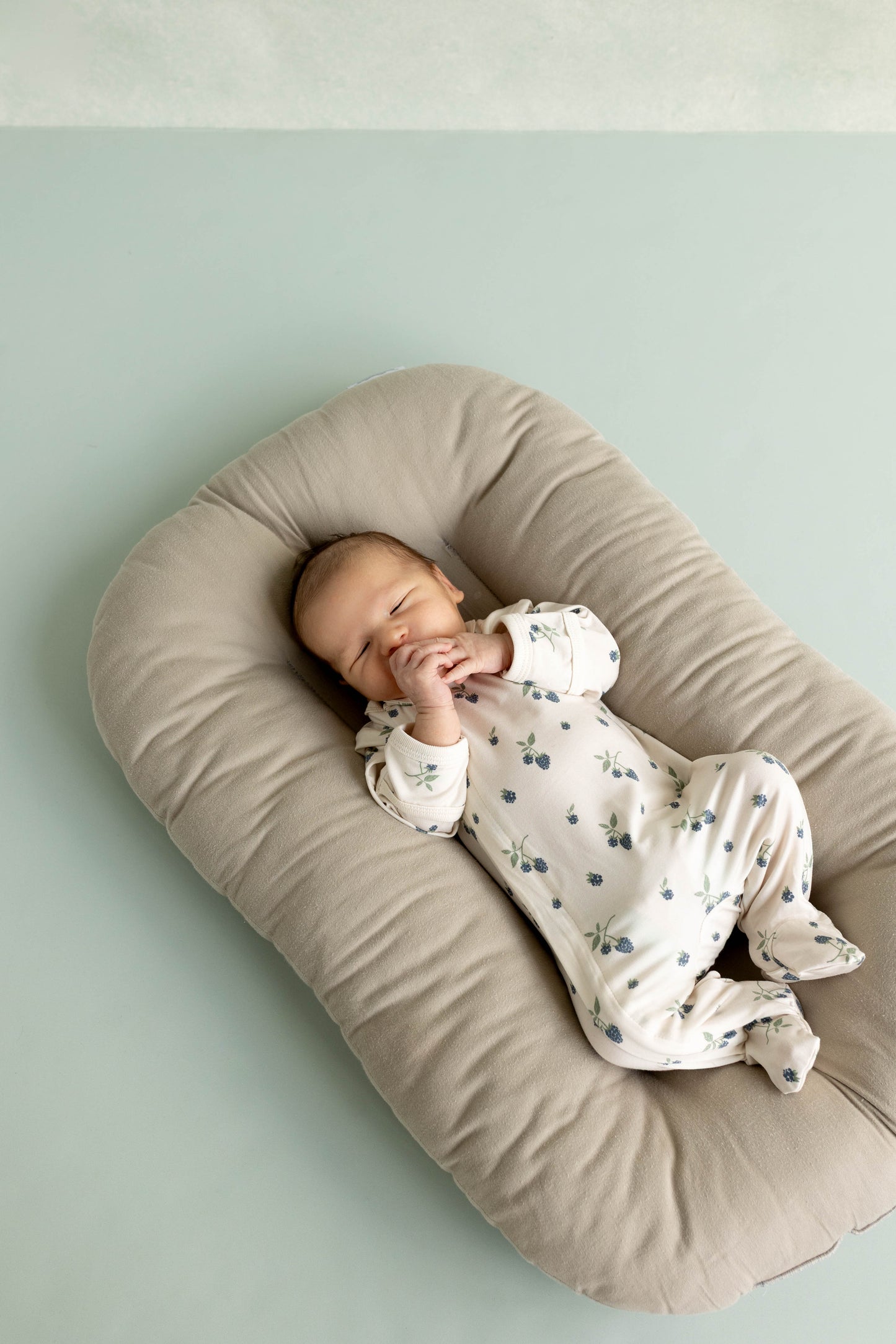 COCCOLI Blackberries Footie PZM6011-236