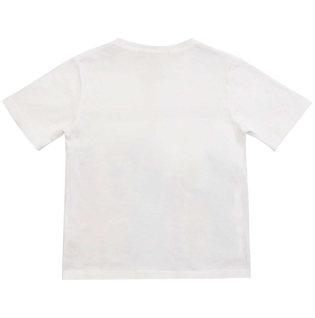 Paper Wings Boys Tee