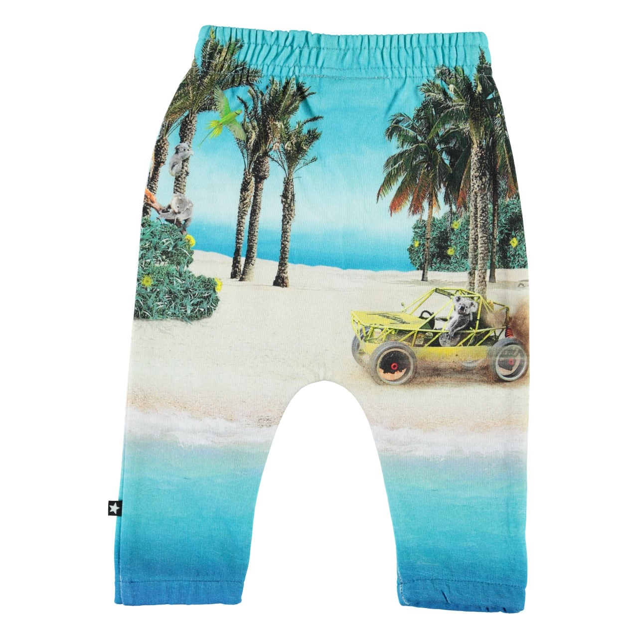 MOLO Storm Pants - Venturing Koala