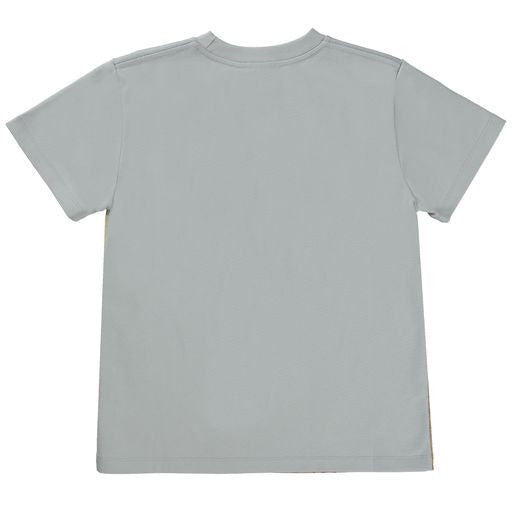 MOLO JURASSIC Roxo T-shirt Dinos Galore