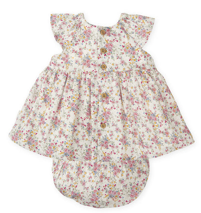 Tutto Piccolo Dress & Bloomers 1233S26