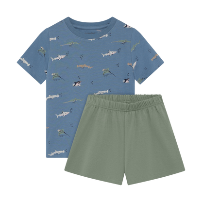 Minymo Boys Top & Shorts Set 134357