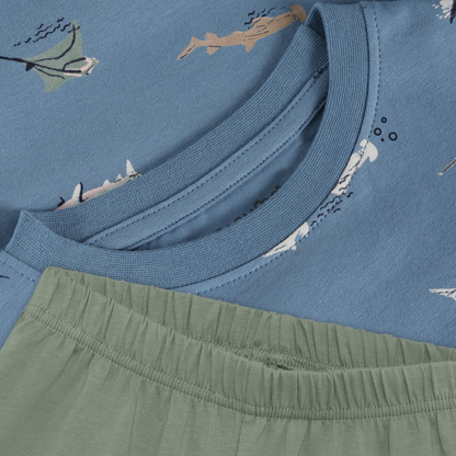 Minymo Boys Top & Shorts Set 134357