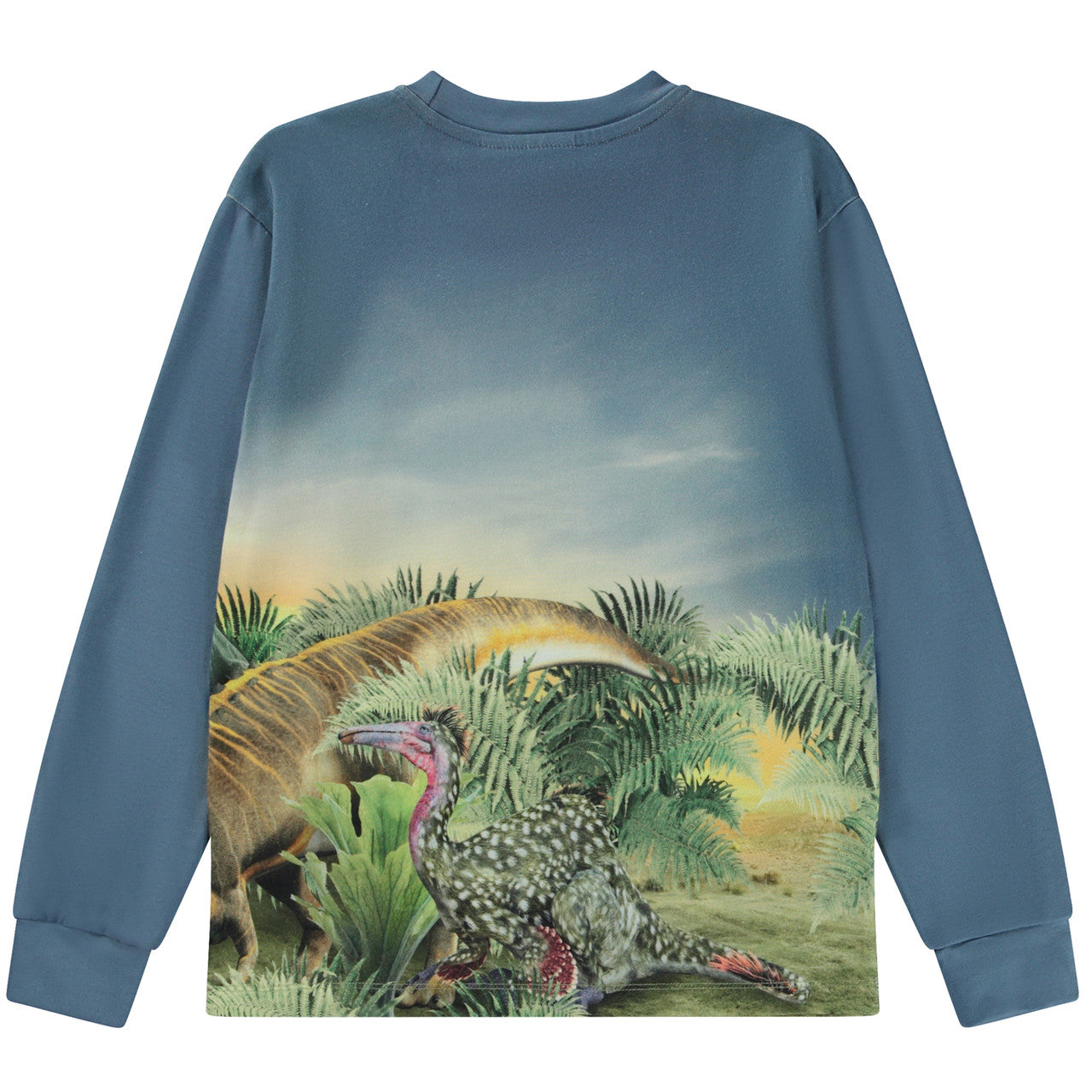 MOLO Rexton Sweatshirt - Dino Friends (1W23A404-3318)