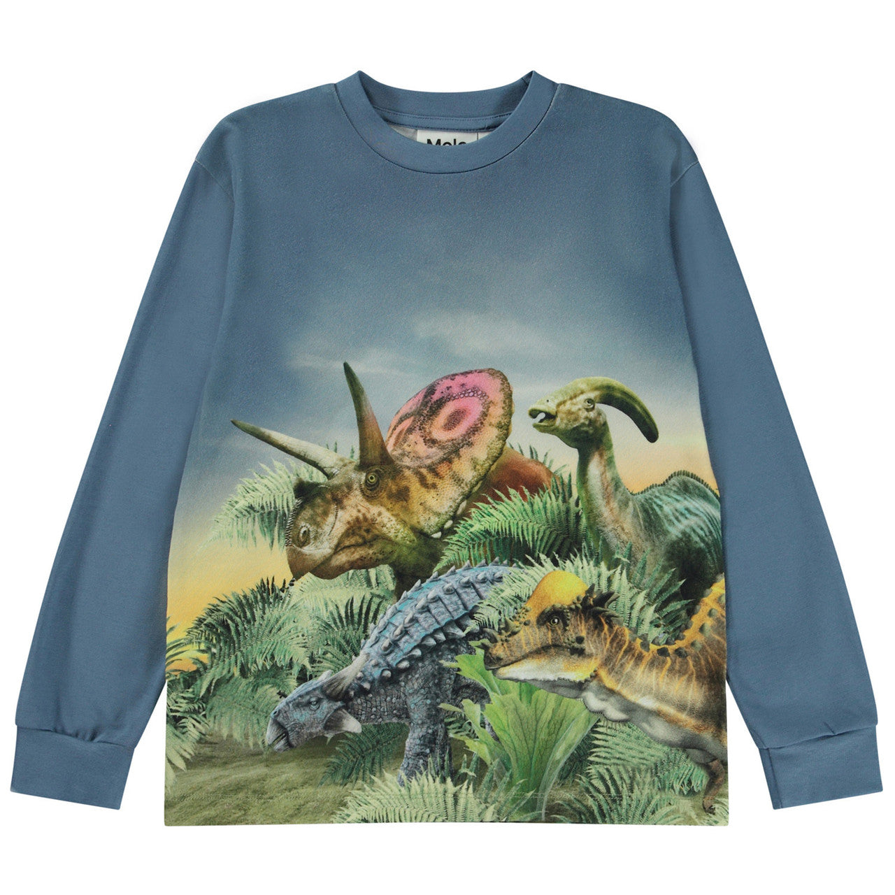 MOLO Rexton Sweatshirt - Dino Friends (1W23A404-3318)