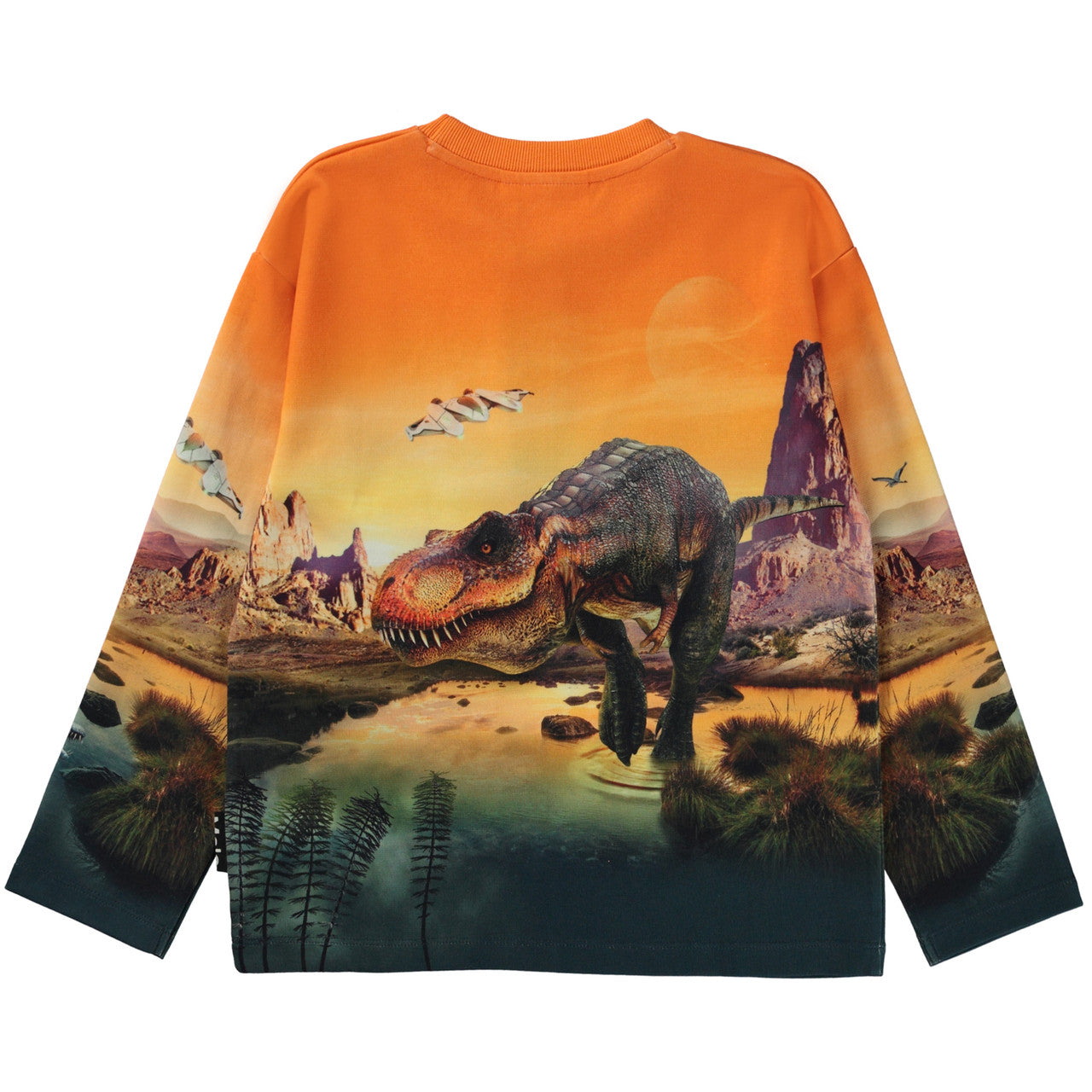 MOLO Mountoo Top - Dino Planet (1W23J204-3319)