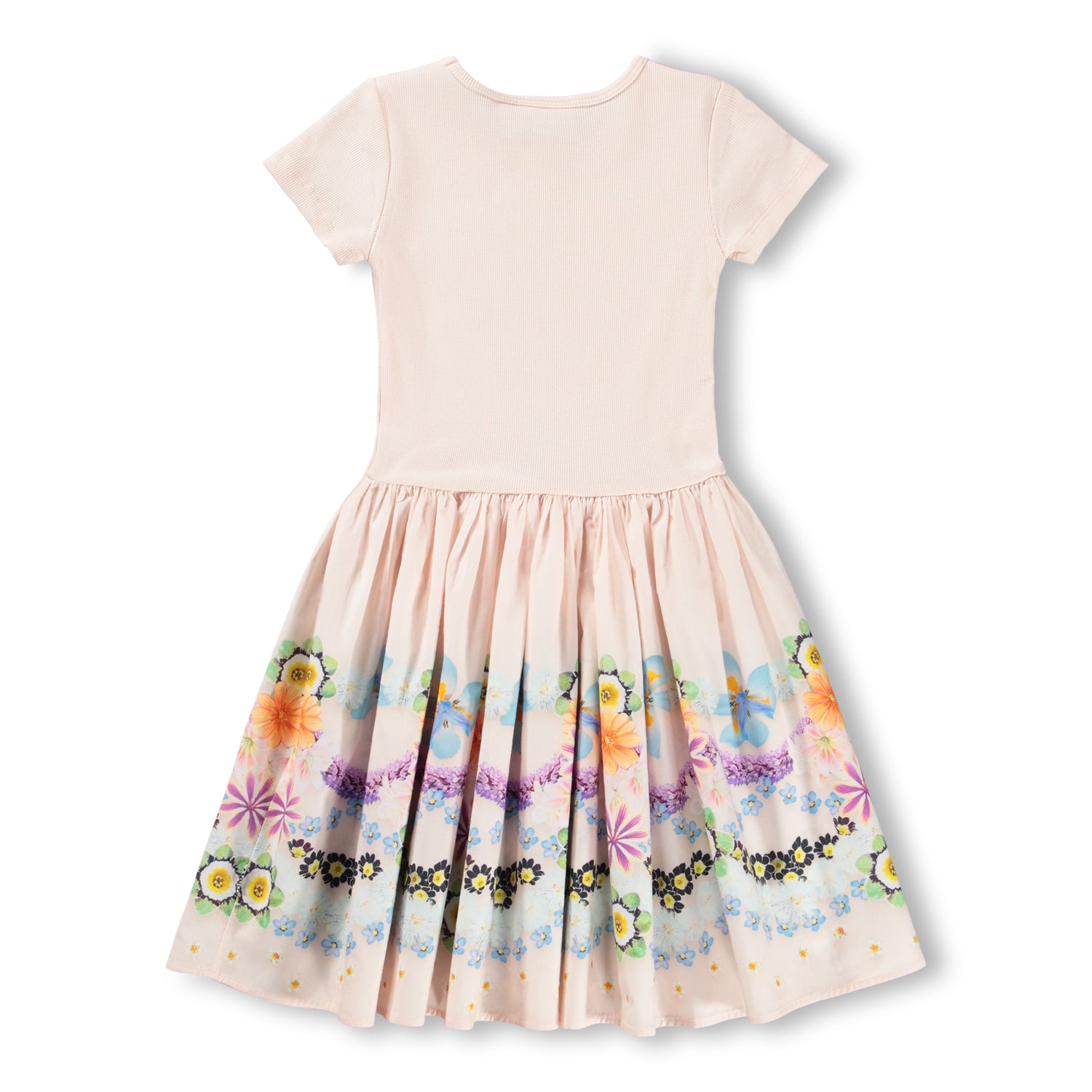 MOLO Cissa Dress - Floral Icing