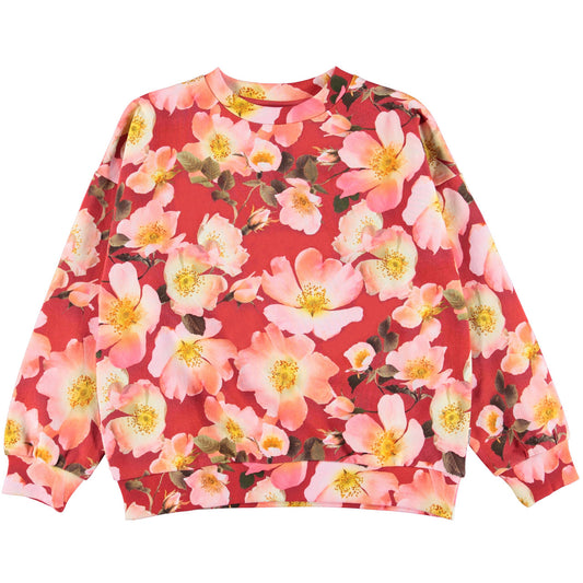 MOLO Mika Sweatshirt - Rosa (2W22J206-6652)