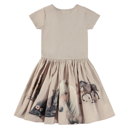  MOLO Cissa Dress - Pony Family (2W23E108-3315)