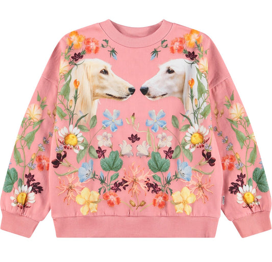 MOLO Maxi Sweatshirt - Afghan Hounds