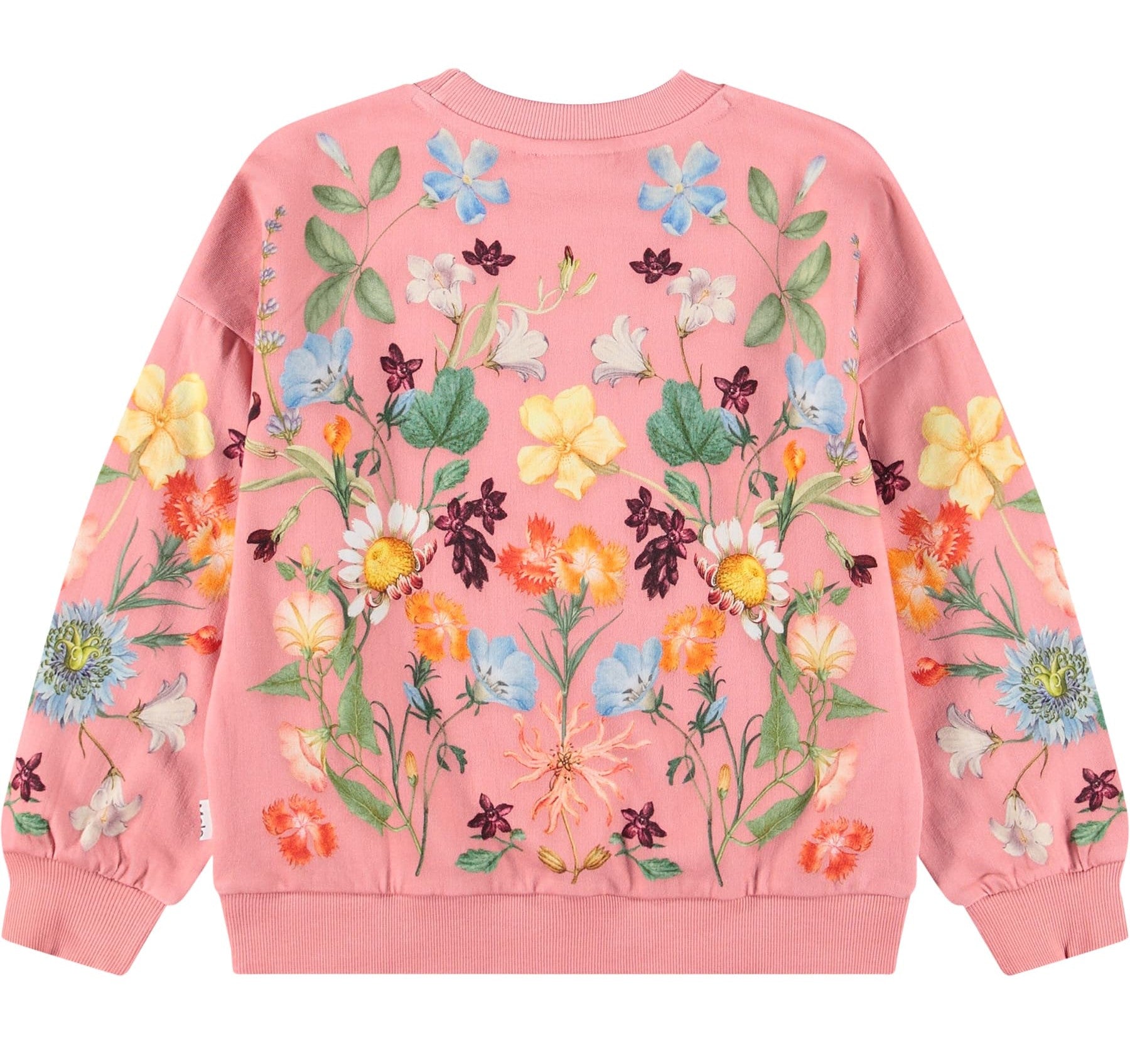 MOLO Maxi Sweatshirt - Afghan Hounds