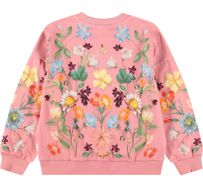 MOLO Maxi Sweatshirt - Afghan Hounds