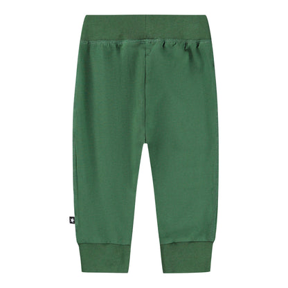 MOLO Sammy Pants - Pine Tree