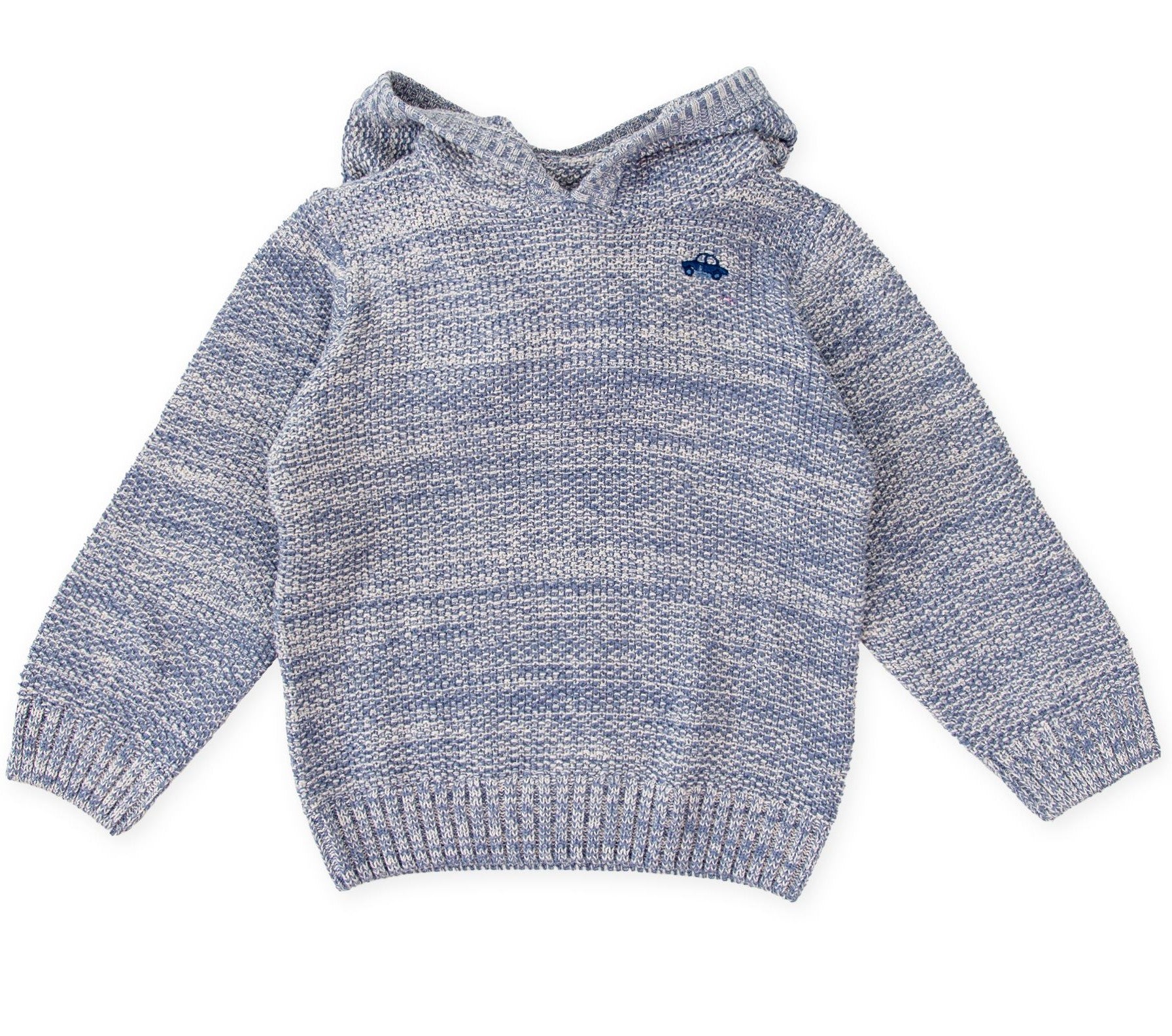 Tutto Piccolo Boys Hooded Sweater 3854W25