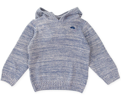 Tutto Piccolo Boys Hooded Sweater 3854W25
