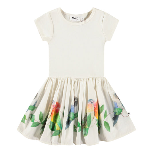 MOLO Carin Dress - Birdies