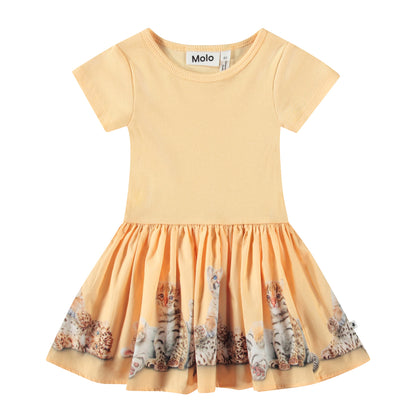 MOLO Carin Dress - Cubs United