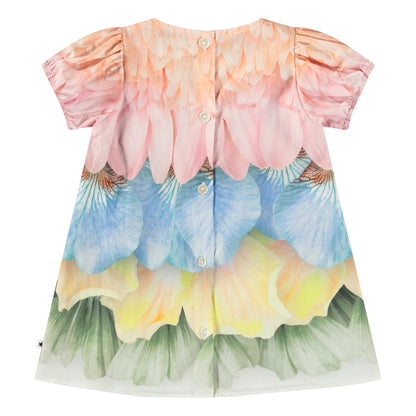 MOLO Caja Dress - Petal Rainbow