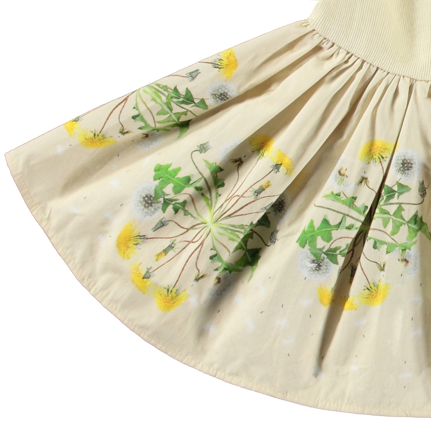 MOLO Candi Dress - Baby Dandelion