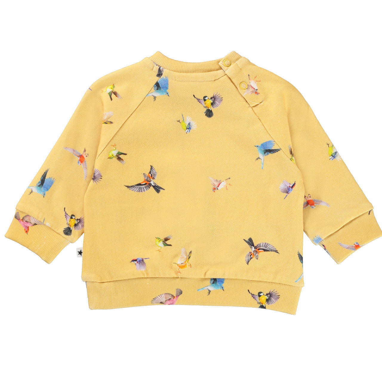 MOLO Dicte Sweatshirt - Mini Birds (4W22J201-6654)