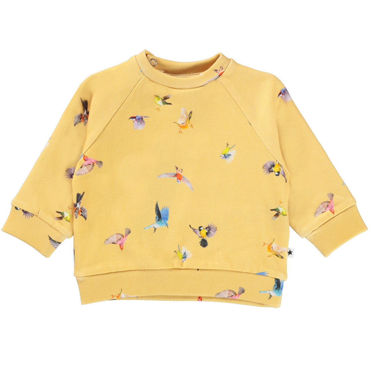 MOLO Dicte Sweatshirt - Mini Birds (4W22J201-6654)