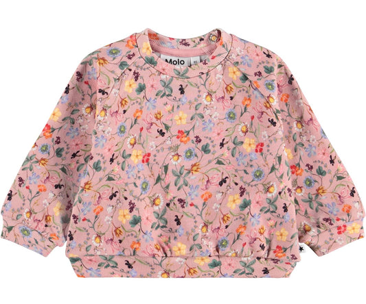 MOLO Girls Disc Sweatshirt - Delicate Mini