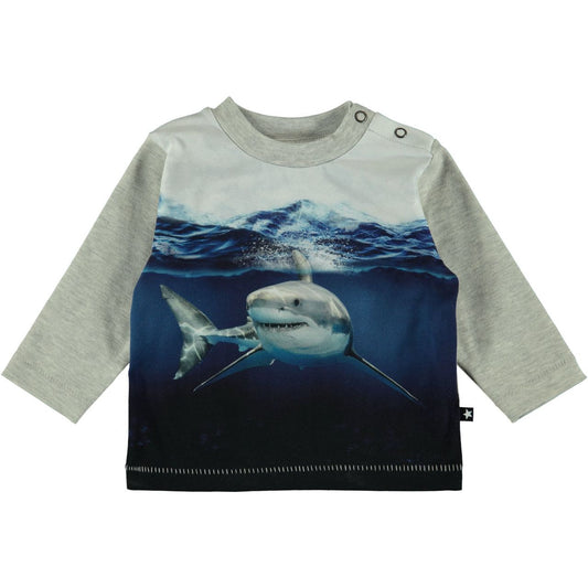 MOLO Enovat Top - Friendly Shark (3s19a408-3204) 