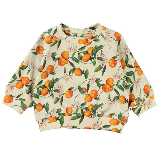 MOLO girls disc Sweatshirt - Mini Mandarins (6S23J202-6813)