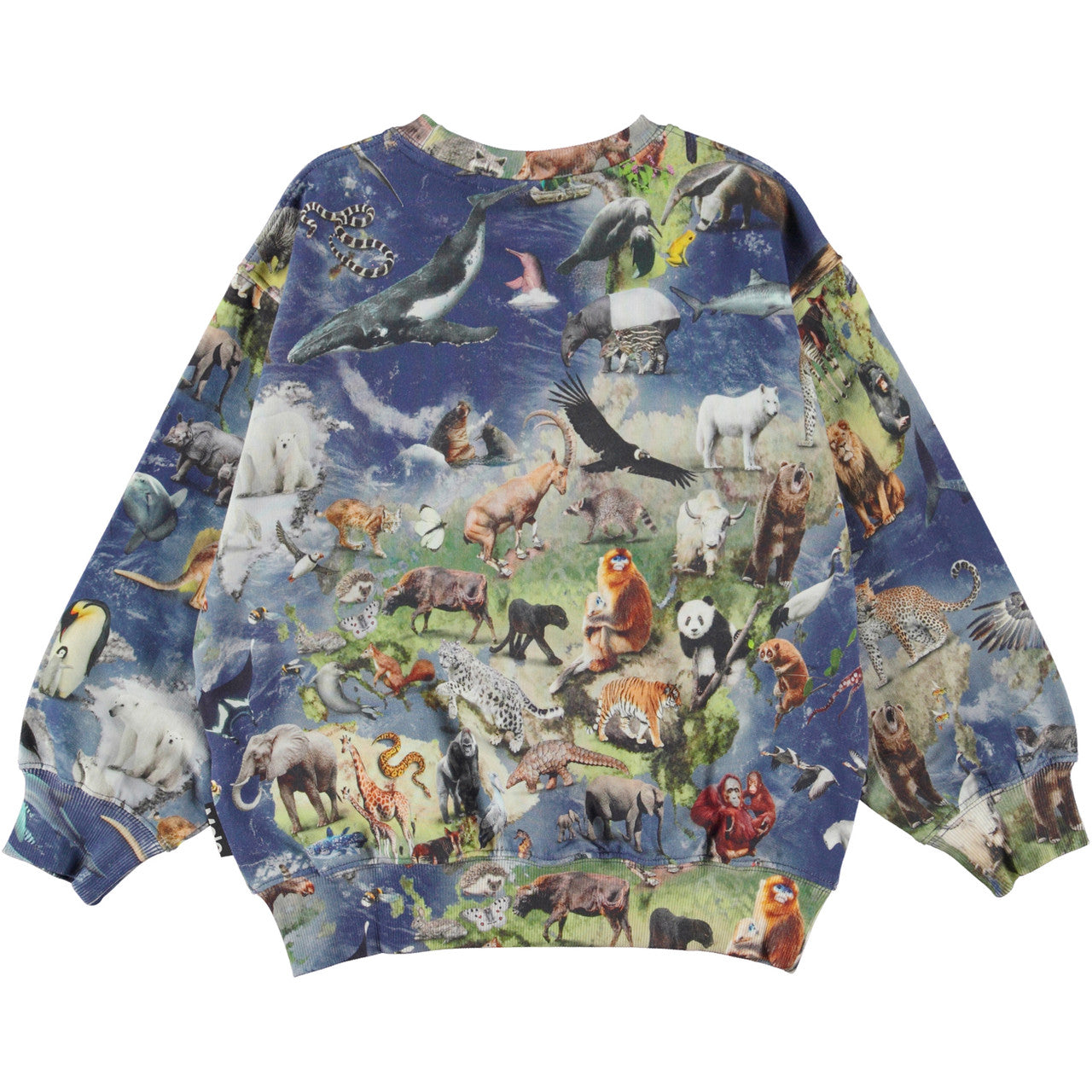 MOLO Monti Sweatshirt - Amazing Earth (6S23J203-6766)