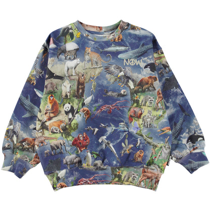 MOLO Monti Sweatshirt - Amazing Earth (6S23J203-6766)