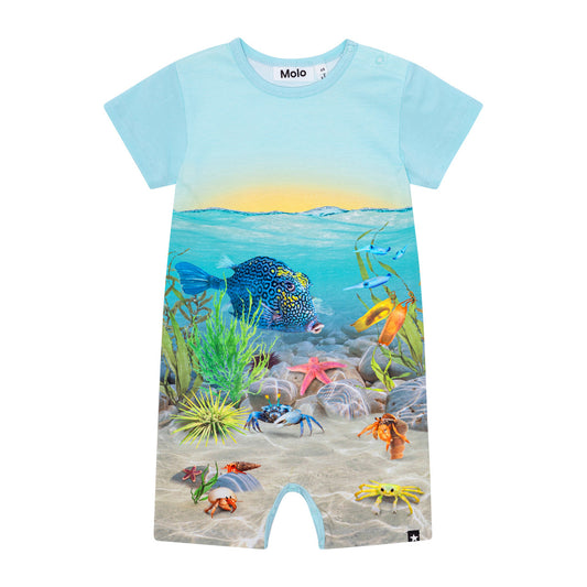 MOLO Finn Romper - Tropic Sea Suit (6S24B405-584)