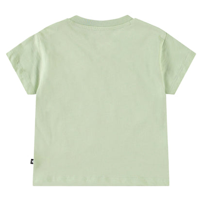 MOLO Enzo Top - Misty Green