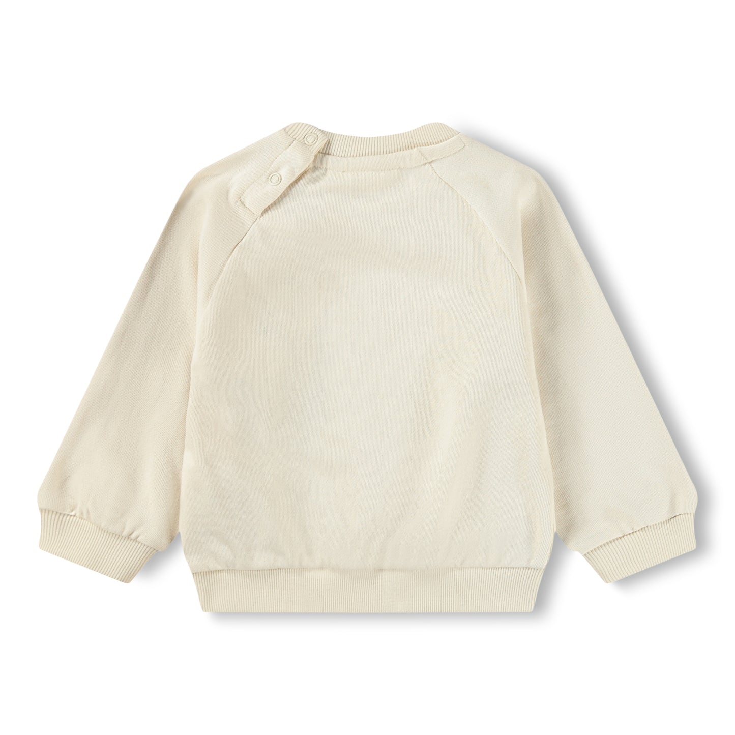MOLO Disc Sweatshirt - Sun is Shining