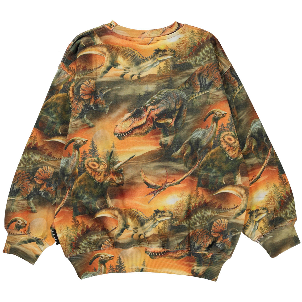 MOLO Monti Sweatshirt - Dino Dusk (6W23J207-6865)