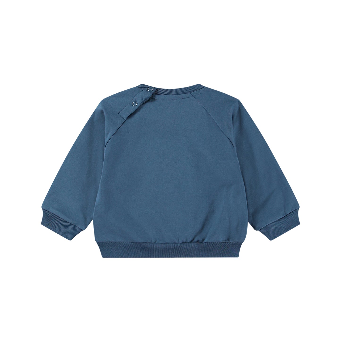 MOLO Disc Sweatshirt - Calm Fjord