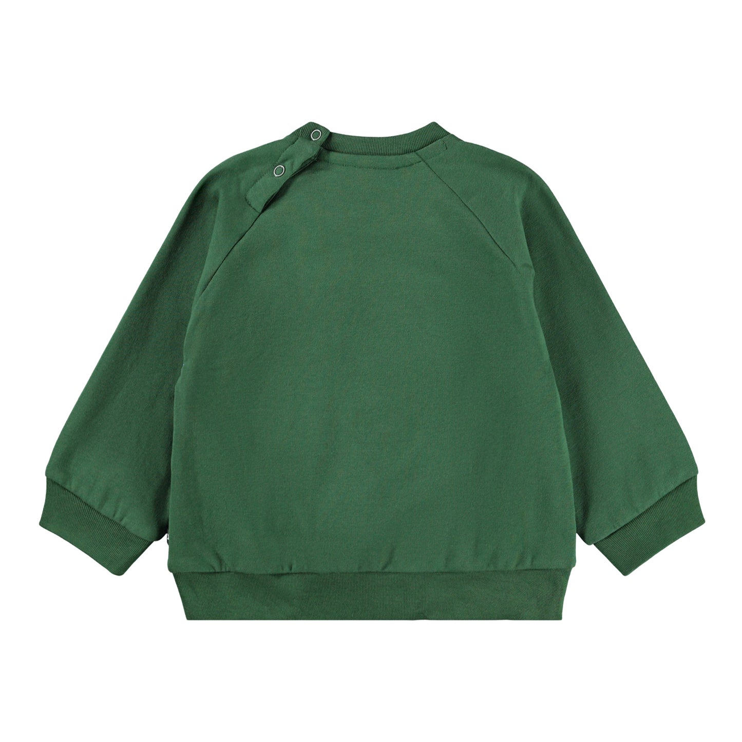MOLO Disc Sweatshirt - Pine Tree