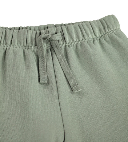 MOLO Simeon Pants - Cladonia