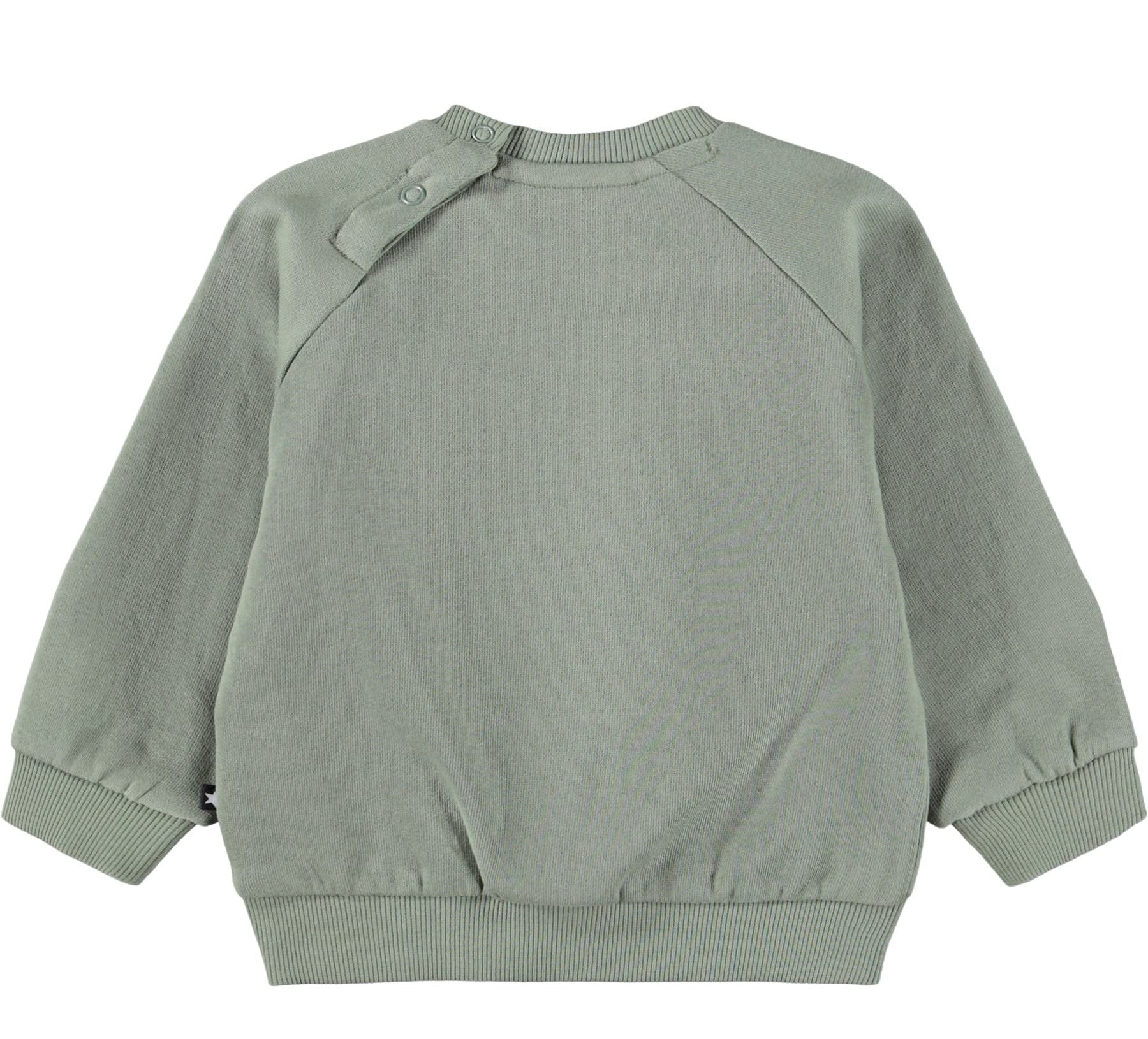 MOLO Disc Sweatshirt - Cladonia