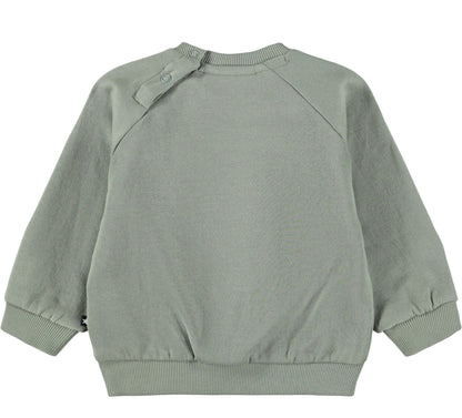 MOLO Disc Sweatshirt - Cladonia