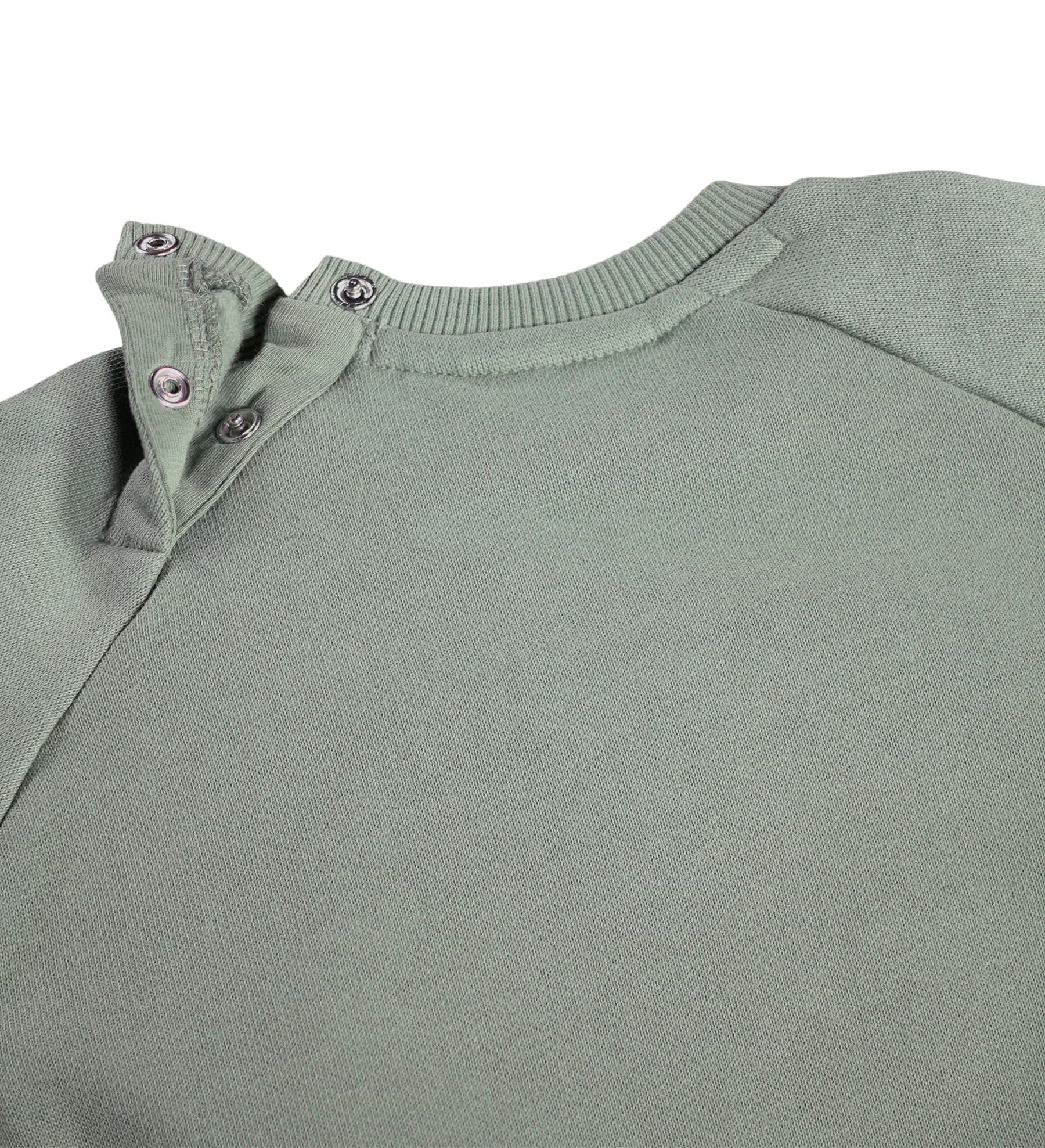MOLO Disc Sweatshirt - Cladonia