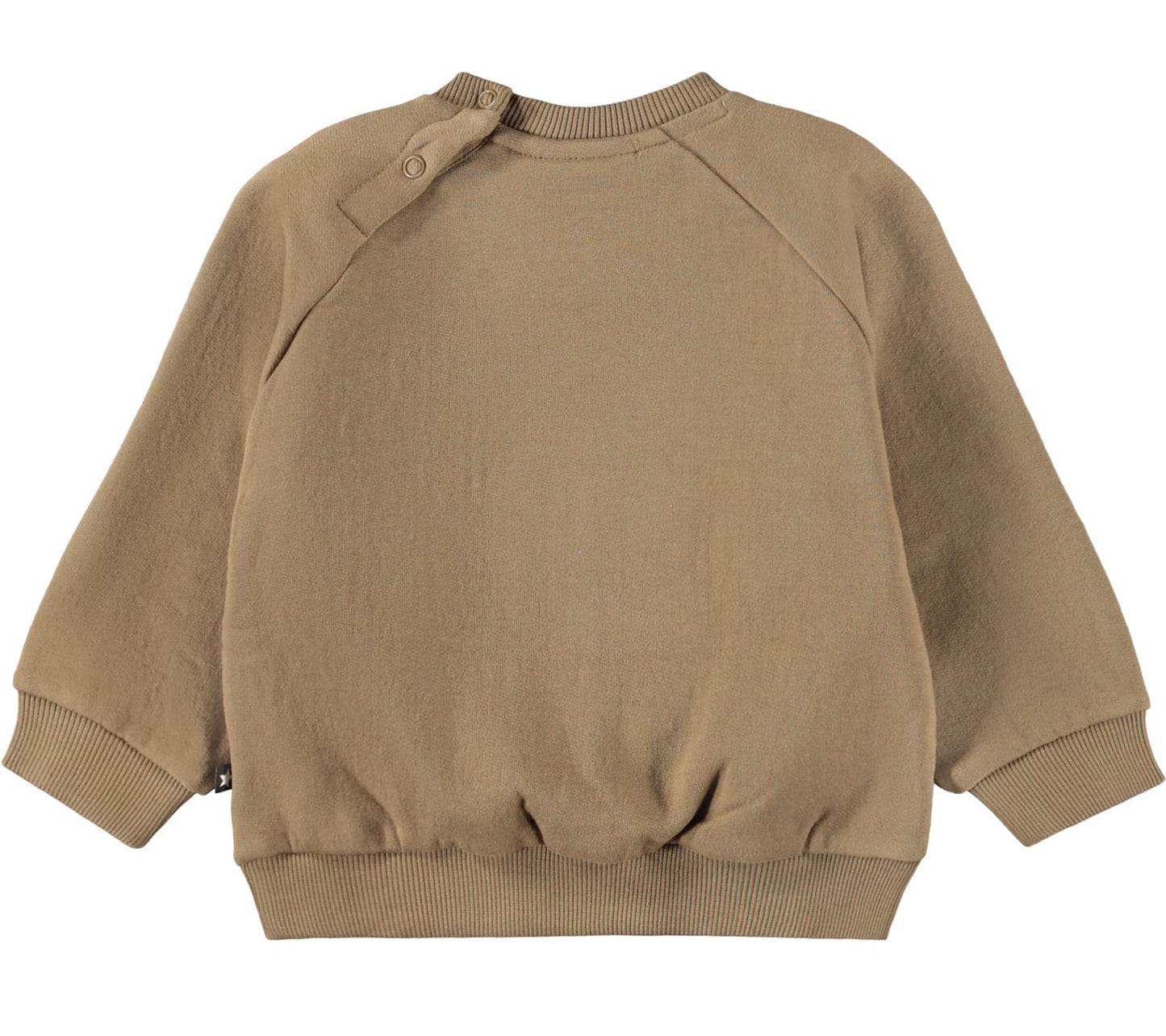 MOLO Disc Sweatshirt - Elmwood